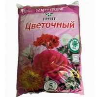 A099031 articul-A099031