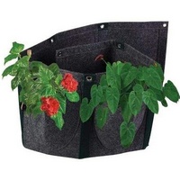 A129076 articul-A129076