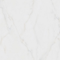 A196546-2 articul-A196546-2