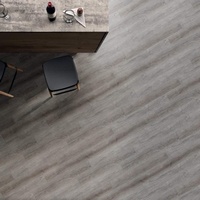 A235958-2 articul-A235958-2