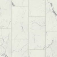 articul-A236544