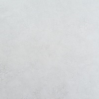 articul-A243319