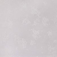 articul-A244620