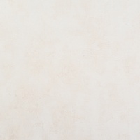 articul-A244858