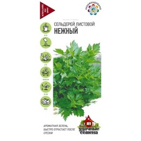 articul-A254162