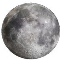 articul-A258319