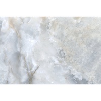 articul-A260584-2
