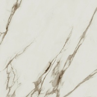 articul-A282506