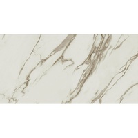 articul-A282507