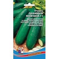 articul-A283051