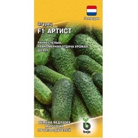 articul-A283537
