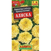 articul-A283748