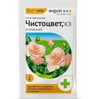 articul-A285681