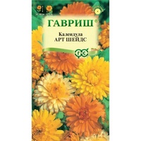 articul-A289062