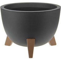 articul-A297250