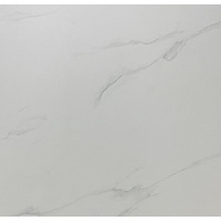 articul-A301609