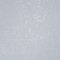 articul-A305018