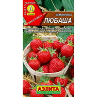 articul-A323243