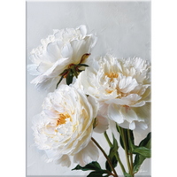 A333083 articul-A333083