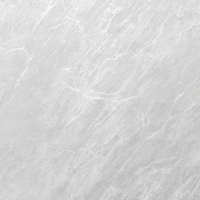 articul-A334500