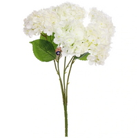 articul-A336227