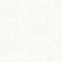 articul-A339830