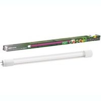 A55840 articul-A55840