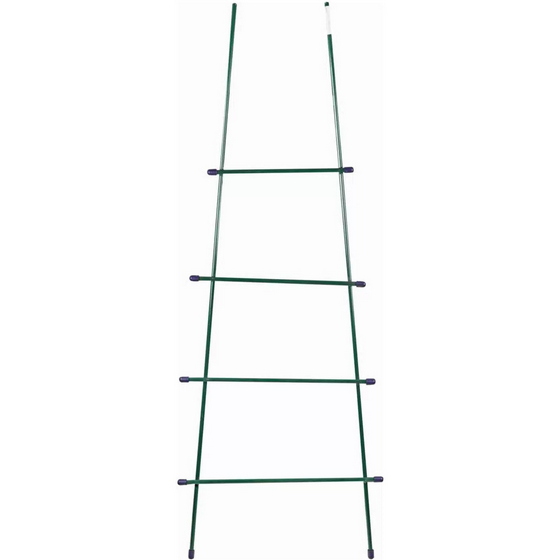 articul-A166293