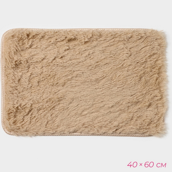 articul-A244754