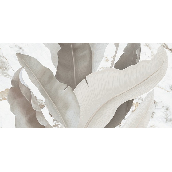 articul-A292584