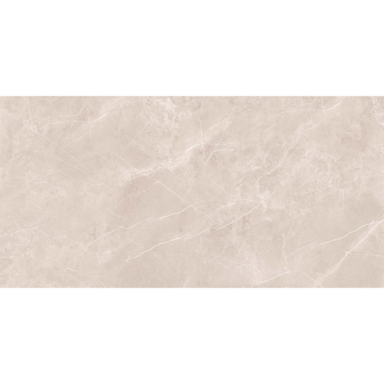 articul-A306067