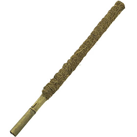 articul-A339282