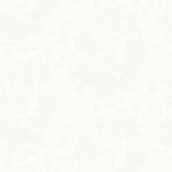 articul-A339830