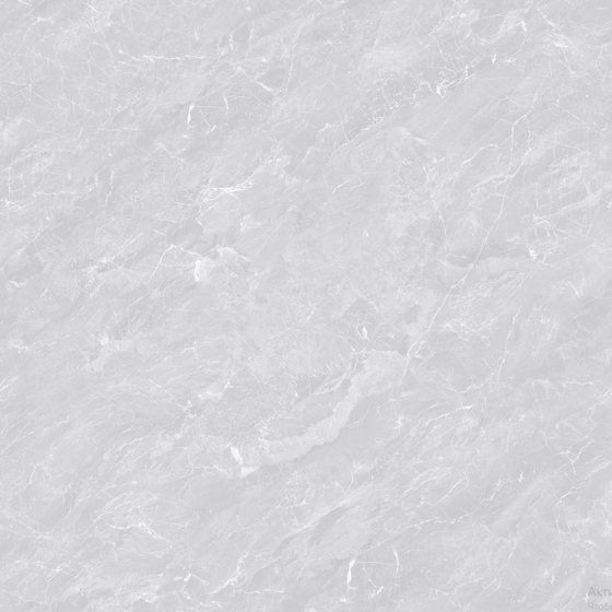 articul-A341608