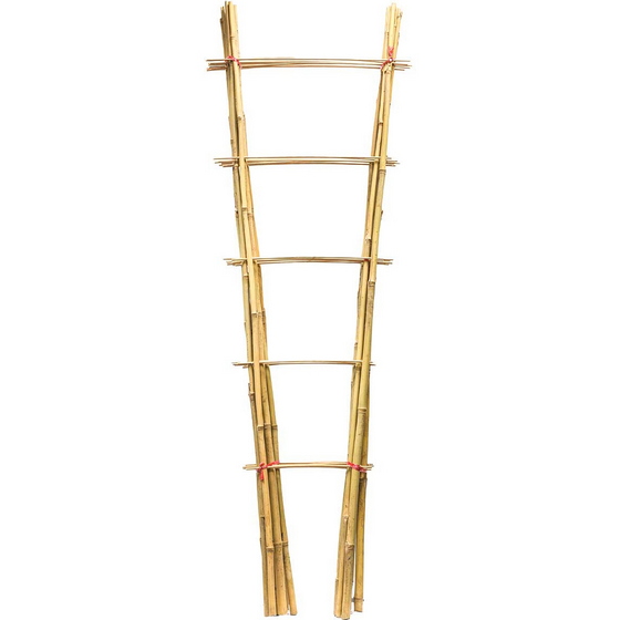 articul-A349444